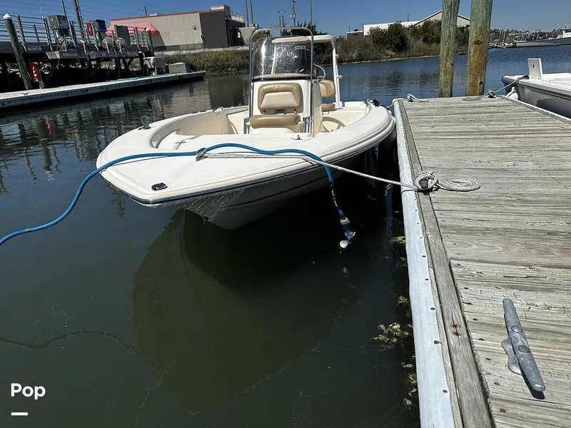 Slide: The Image of Scout Sport 177 CC 2022 - 15292838