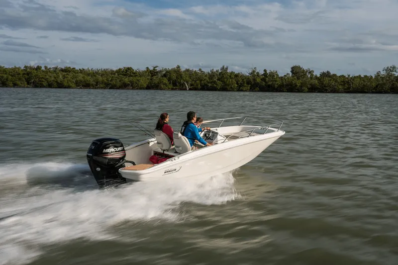 Slide: The Image of Boston Whaler 160 Super Sport 2026 - 12