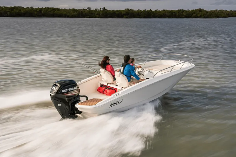 Slide: The Image of Boston Whaler 160 Super Sport 2026 - 15