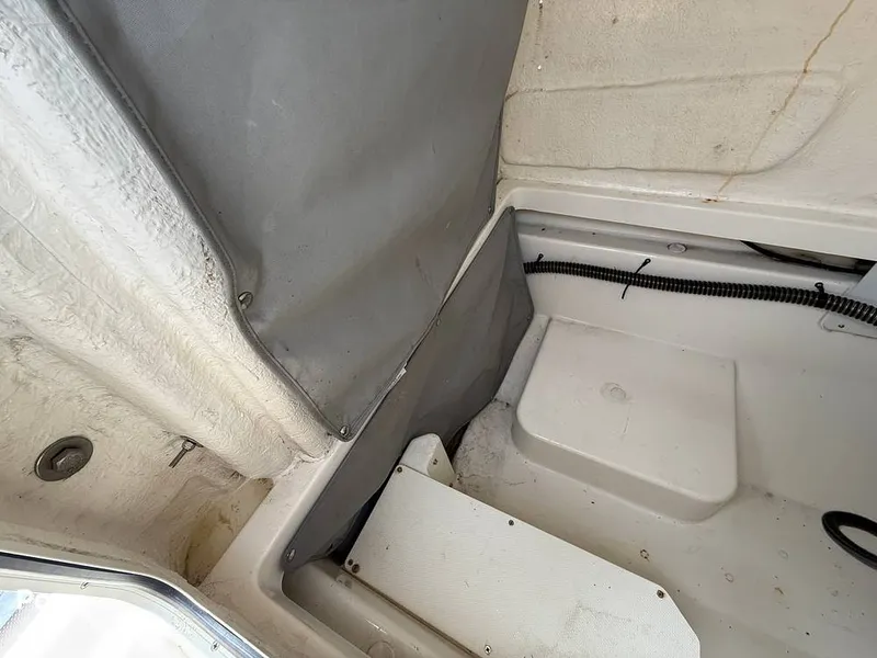 Slide: The Image of Trophy T24 CC 2023 - 15287311