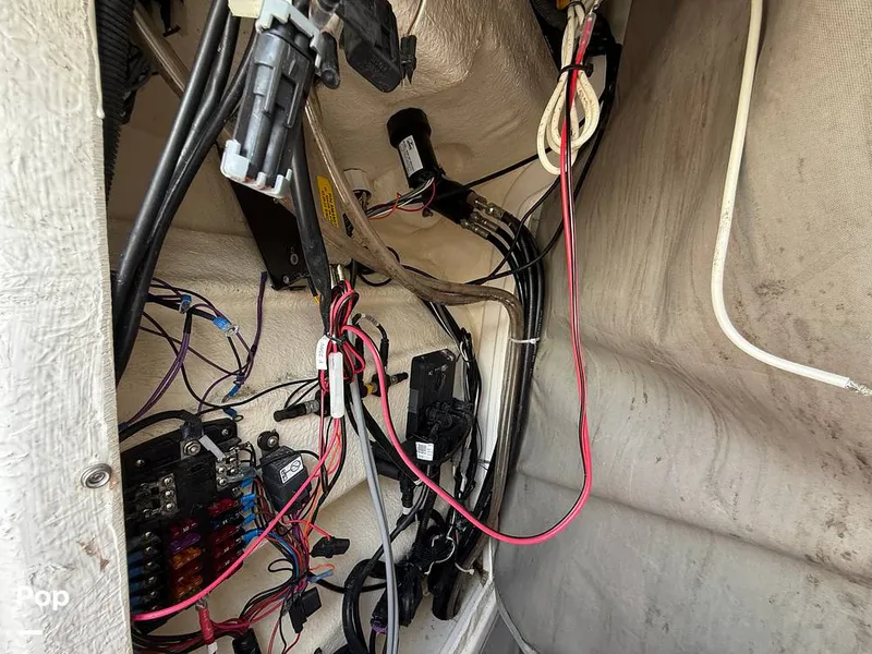 Slide: The Image of Trophy T24 CC 2023 - 15287312