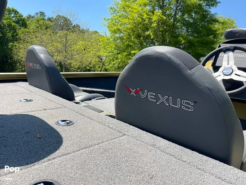Slide: The Image of Vexus avx 1980 2019 - 15393256