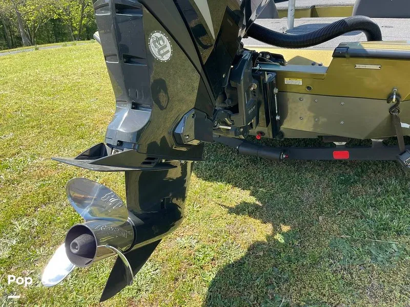 Slide: The Image of Vexus avx 1980 2019 - 15393296