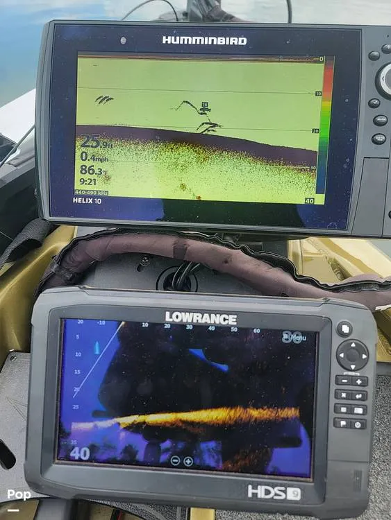 Slide: The Image of Vexus avx 1980 2019 - 15659067