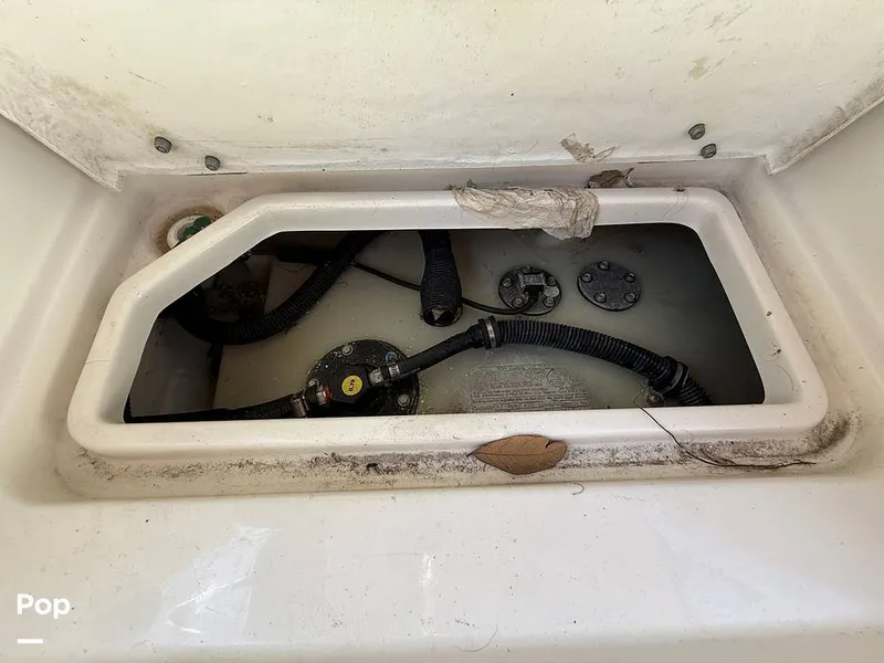 Slide: The Image of Sea Ray SPX 230 OB 2024 - 15370103