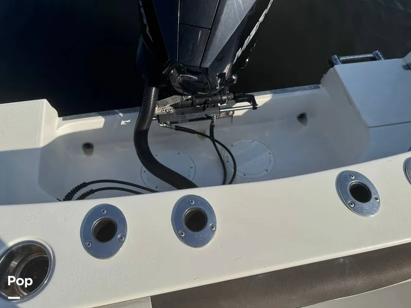 Slide: The Image of Sailfish 242 CC 2023 - 15307157