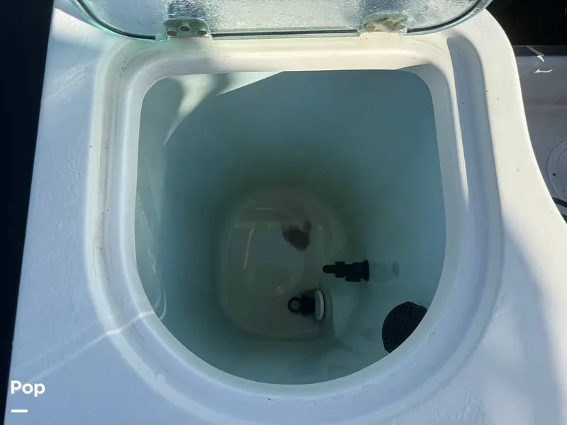 Slide: The Image of Sailfish 242 CC 2023 - 15307158