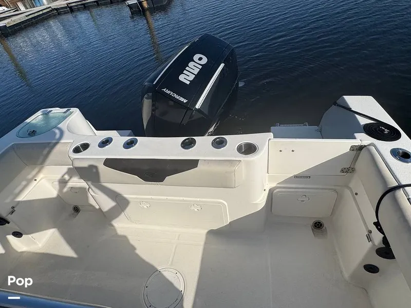 Slide: The Image of Sailfish 242 CC 2023 - 15307160