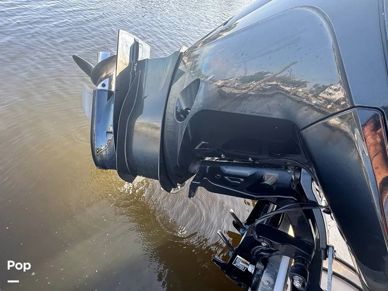 Slide: The Image of Sailfish 242 CC 2023 - 15307161