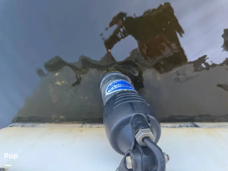 Slide: The Image of Sailfish 242 CC 2023 - 15307163