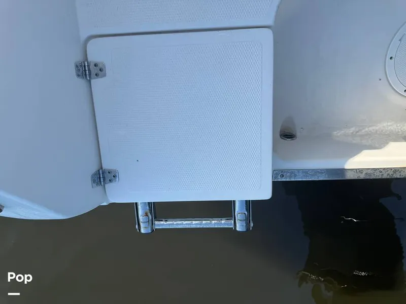 Slide: The Image of Sailfish 242 CC 2023 - 15307166