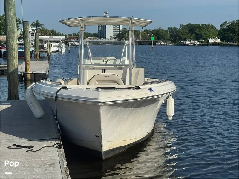 Slide: The Image of Sailfish 242 CC 2023 - 15307149