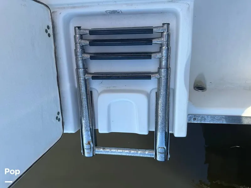 Slide: The Image of Sailfish 242 CC 2023 - 15307167