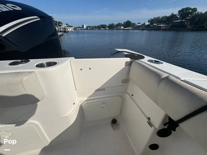 Slide: The Image of Sailfish 242 CC 2023 - 15307170