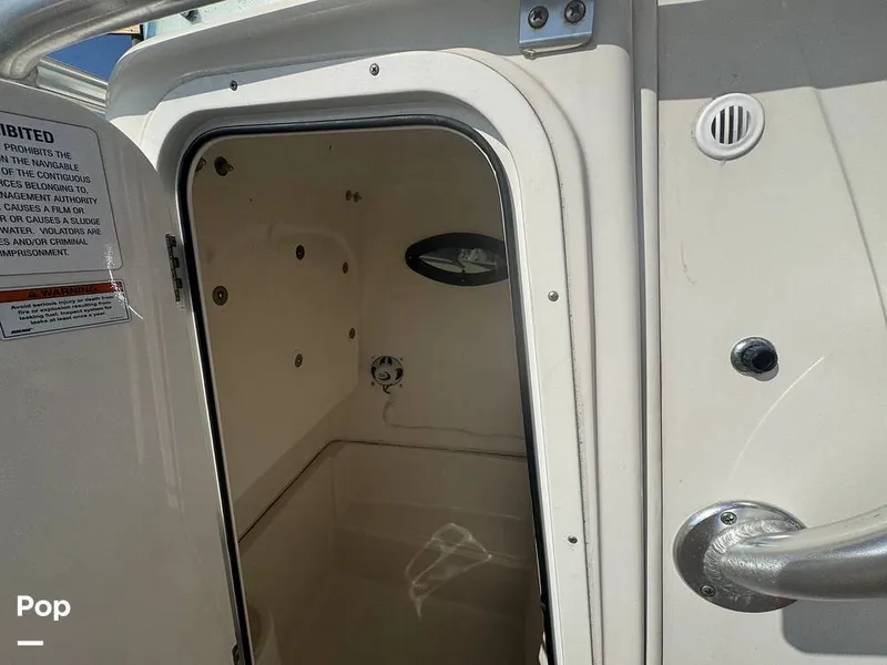 Slide: The Image of Sailfish 242 CC 2023 - 15307174