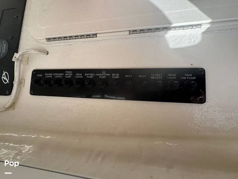 Slide: The Image of Sailfish 242 CC 2023 - 15307177