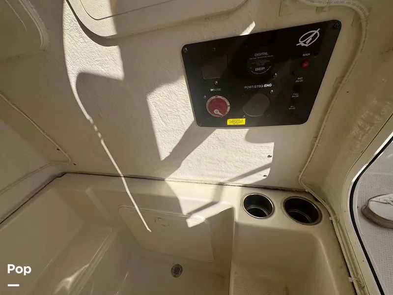 Slide: The Image of Sailfish 242 CC 2023 - 15307179