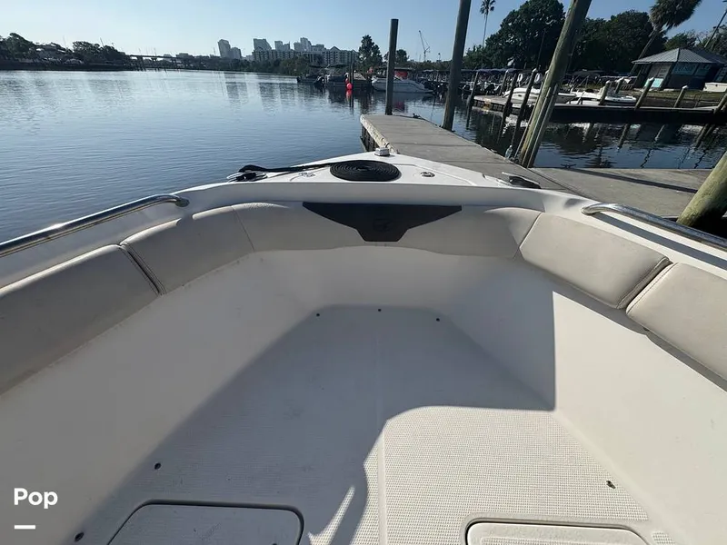 Slide: The Image of Sailfish 242 CC 2023 - 15307185