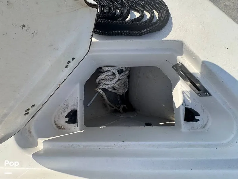 Slide: The Image of Sailfish 242 CC 2023 - 15307186