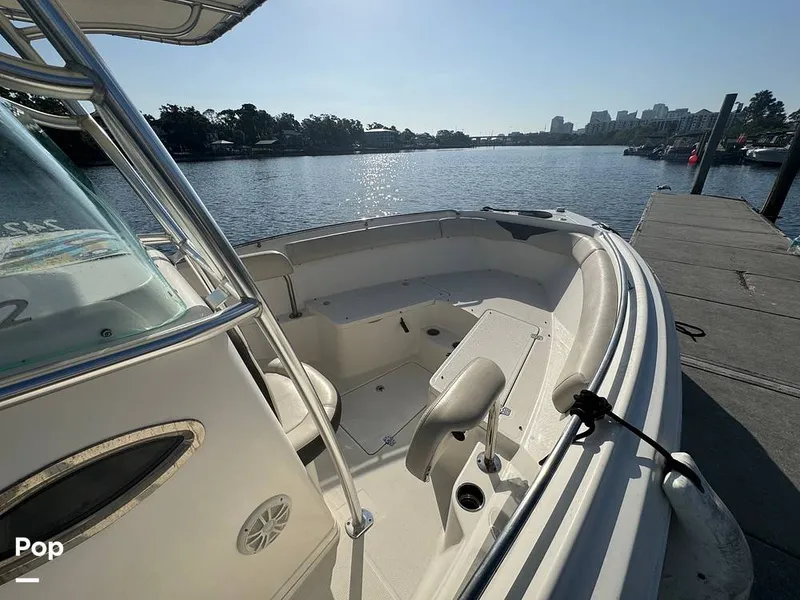 Slide: The Image of Sailfish 242 CC 2023 - 15307151