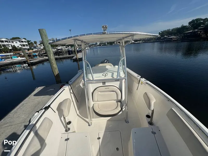 Slide: The Image of Sailfish 242 CC 2023 - 15307188