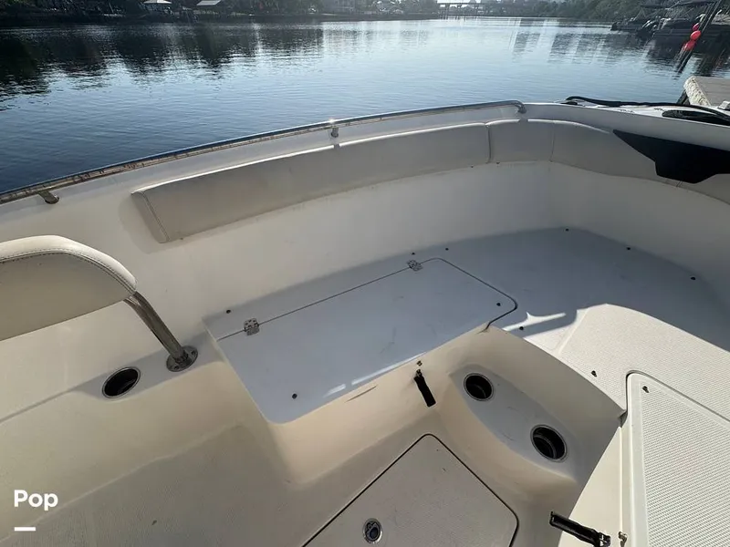 Slide: The Image of Sailfish 242 CC 2023 - 15307189