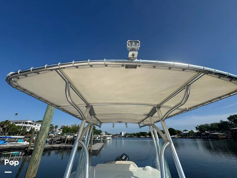 Slide: The Image of Sailfish 242 CC 2023 - 15307191