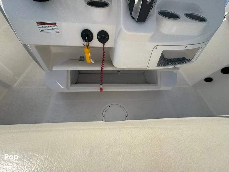 Slide: The Image of Sailfish 242 CC 2023 - 15307155