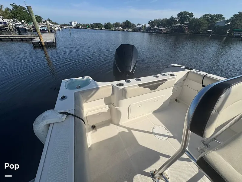 Slide: The Image of Sailfish 242 CC 2023 - 15307156