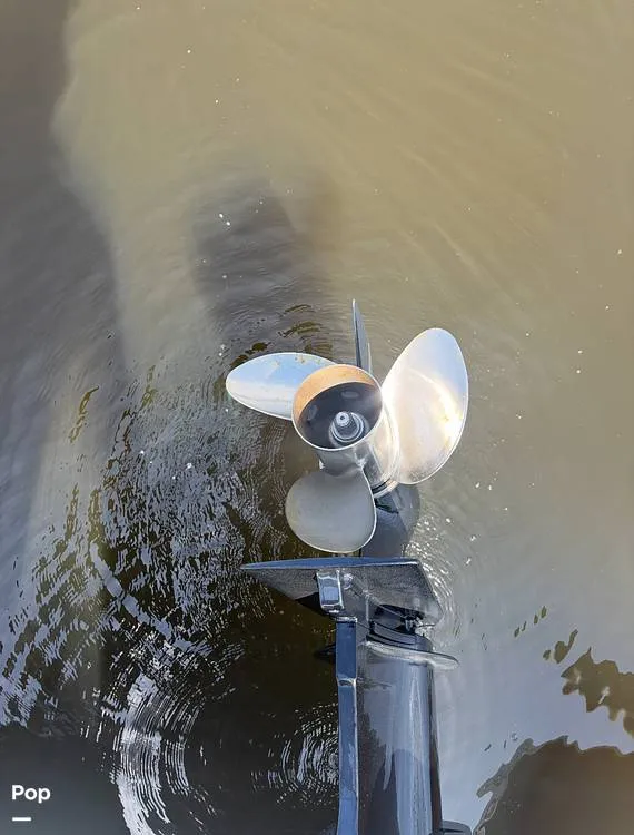 Slide: The Image of Trophy T24CC 2023 - 15308172