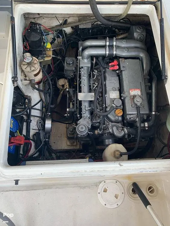 Slide: The Image of Sport Cat SCW 27 2002 - 15333167