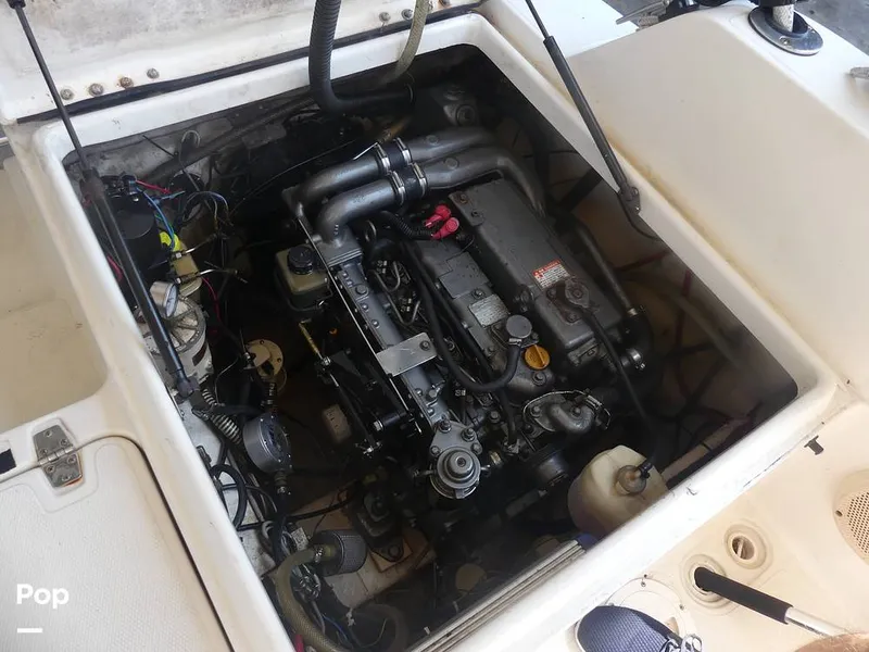 Slide: The Image of Sport Cat SCW 27 2002 - 15492003