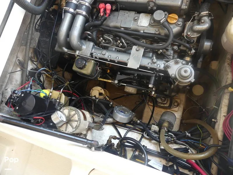 Slide: The Image of Sport Cat SCW 27 2002 - 15492004