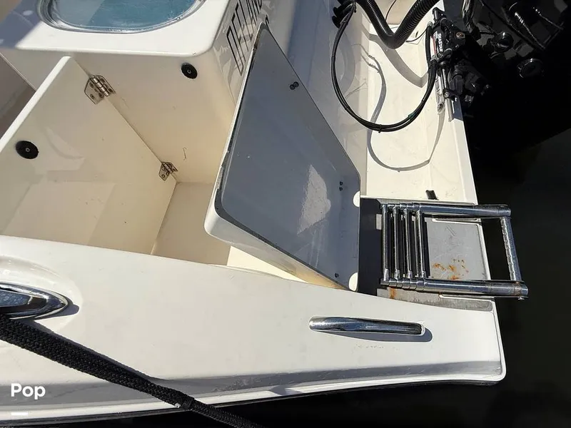 Slide: The Image of Cobia 237 CC 2023 - 15329144