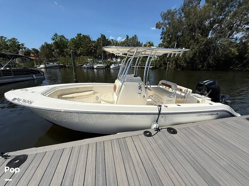 Slide: The Image of Cobia 237 CC 2023 - 15329125