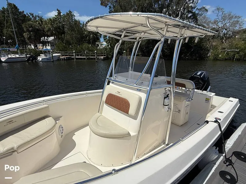 Slide: The Image of Cobia 237 CC 2023 - 15329136