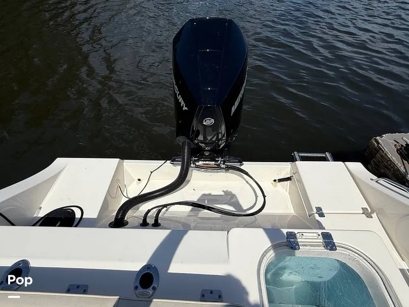 Slide: The Image of Cobia 237 CC 2023 - 15329141