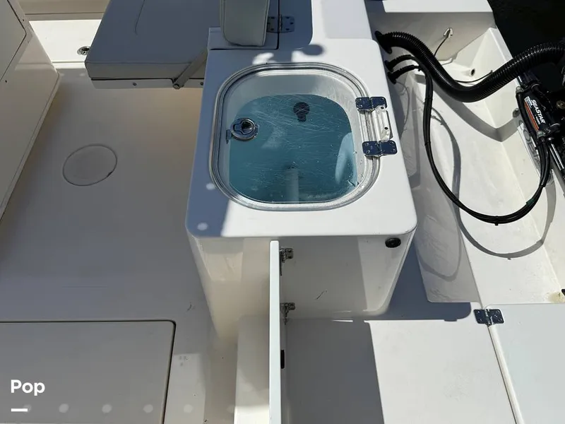 Slide: The Image of Cobia 237 CC 2023 - 15329145