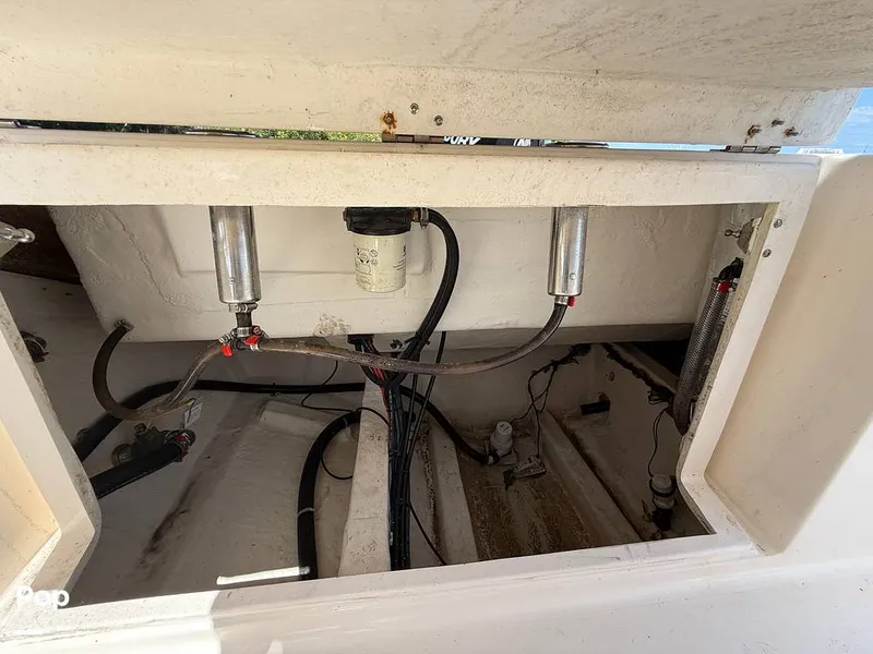 Slide: The Image of Cobia 237 CC 2023 - 15329151