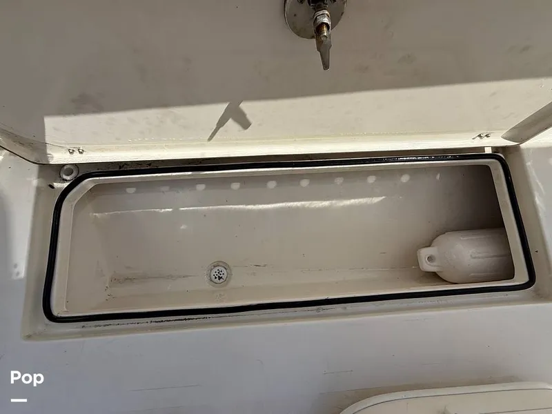 Slide: The Image of Cobia 237 CC 2023 - 15329159