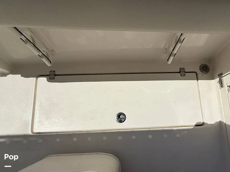 Slide: The Image of Cobia 237 CC 2023 - 15329160