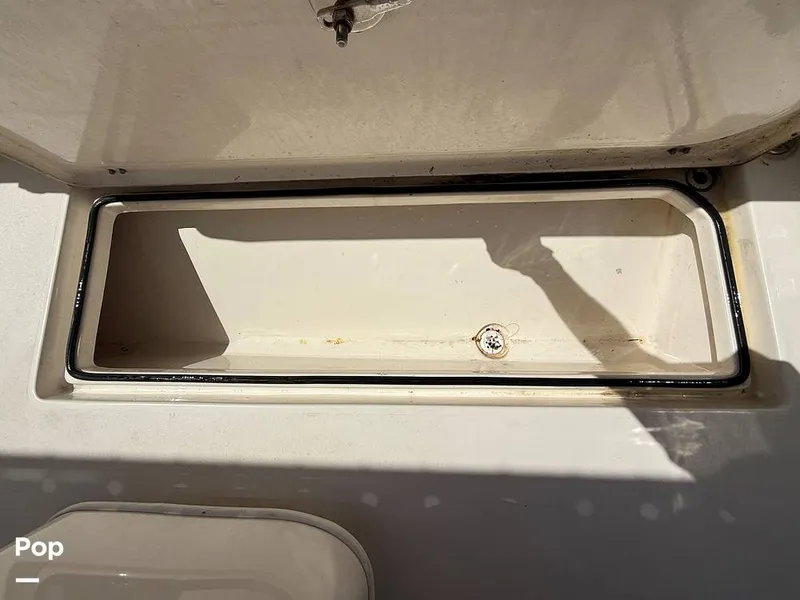 Slide: The Image of Cobia 237 CC 2023 - 15329161