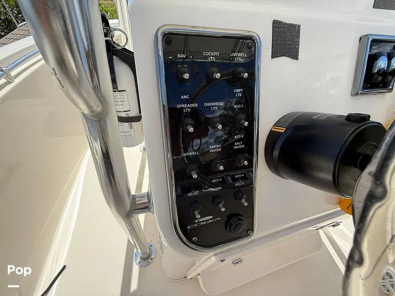 Slide: The Image of Cobia 237 CC 2023 - 15329182