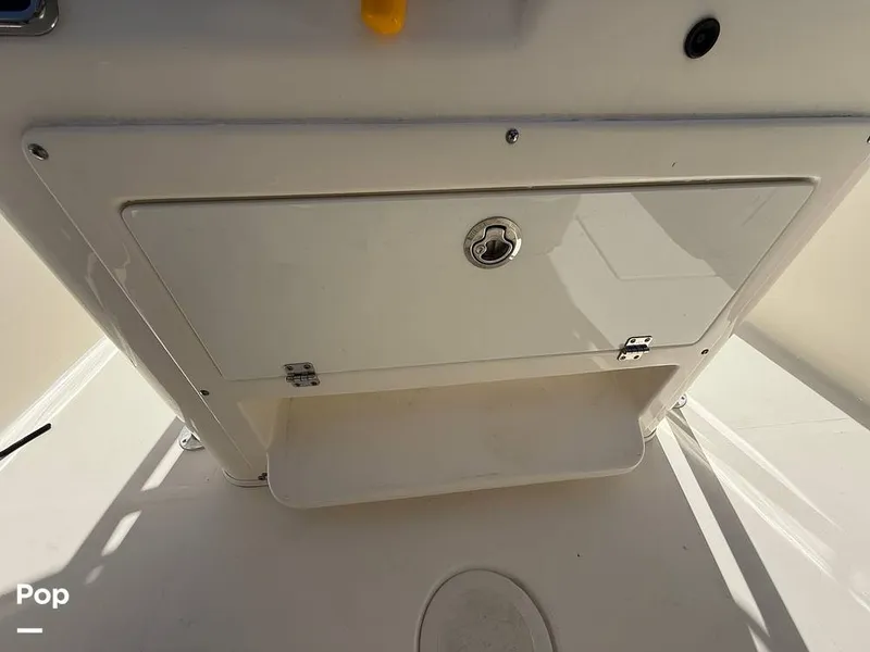 Slide: The Image of Cobia 237 CC 2023 - 15329183