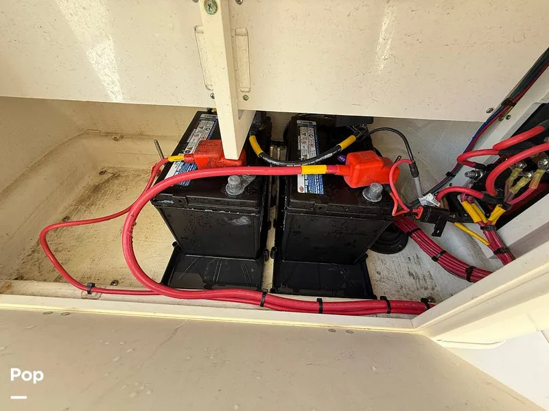 Slide: The Image of Cobia 237 CC 2023 - 15329186