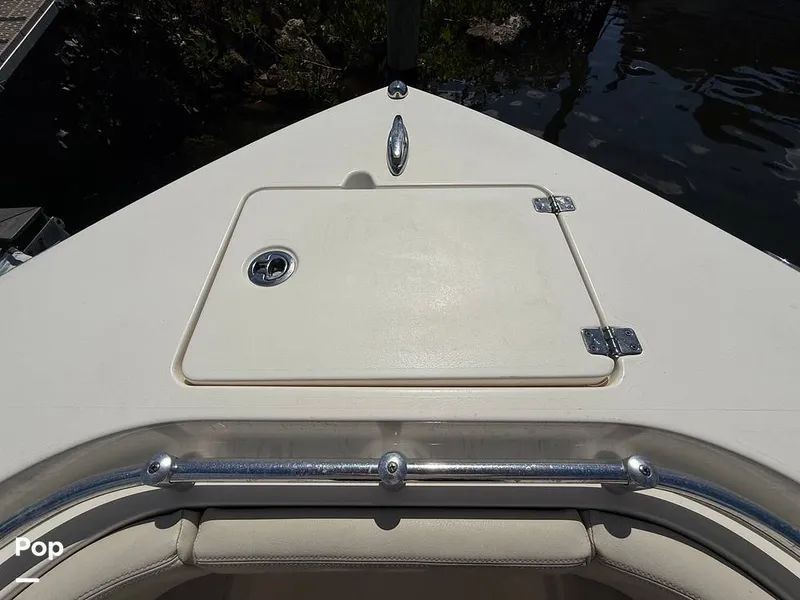 Slide: The Image of Cobia 237 CC 2023 - 15329195