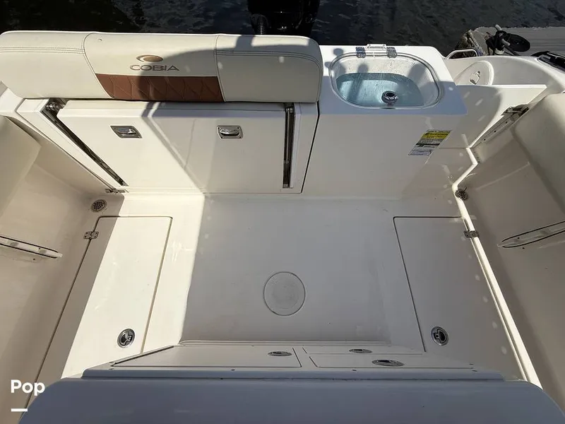 Slide: The Image of Cobia 237 CC 2023 - 15329312