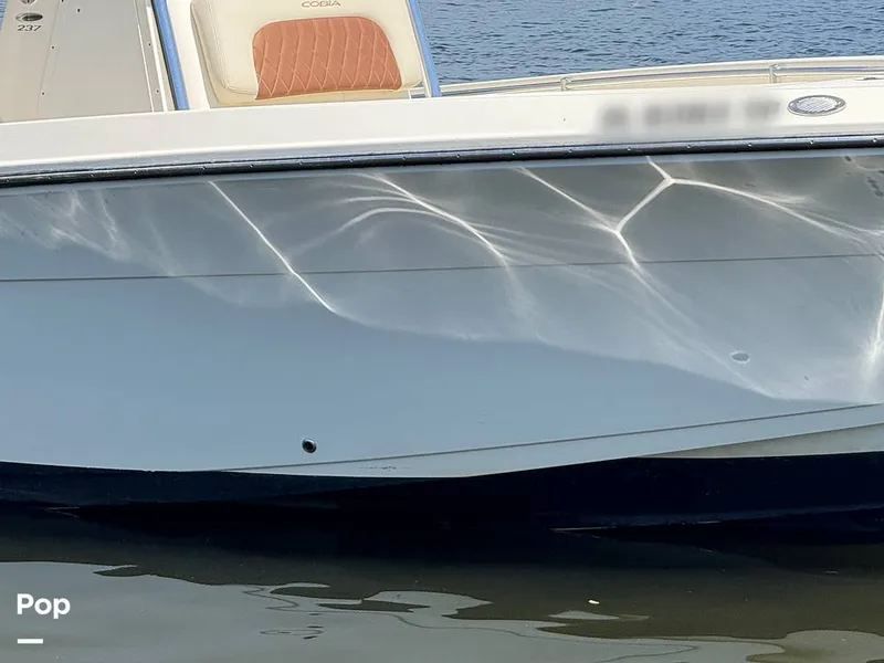 Slide: The Image of Cobia 237 CC 2023 - 15329318