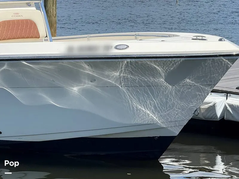 Slide: The Image of Cobia 237 CC 2023 - 15329319