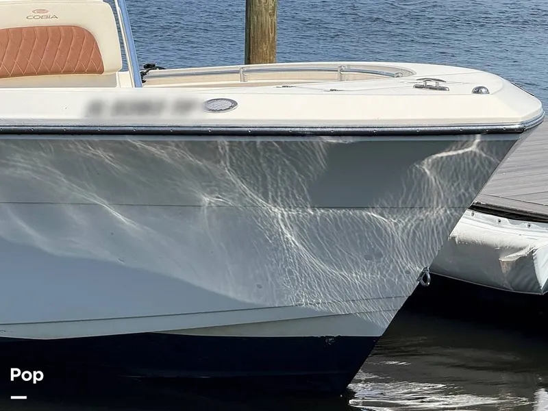 Slide: The Image of Cobia 237 CC 2023 - 15329320